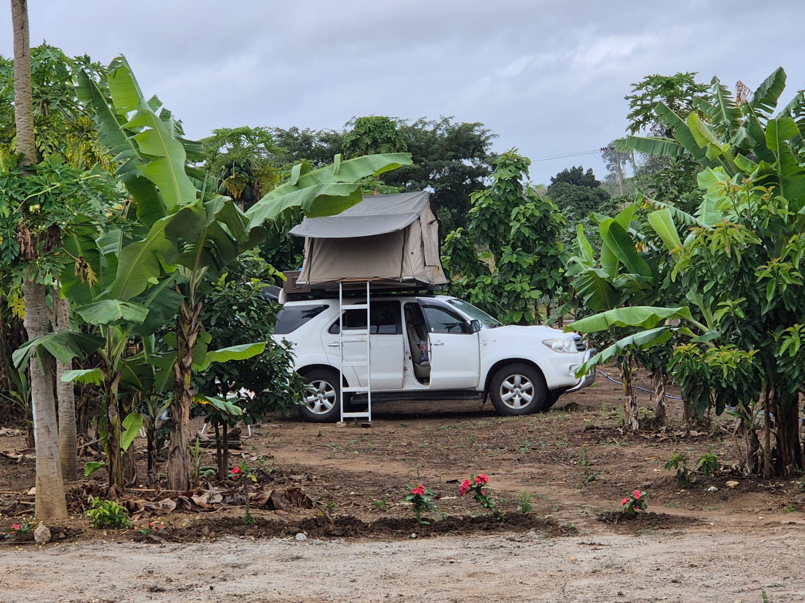 Scenic camping in our gardens at Saadani Pangani