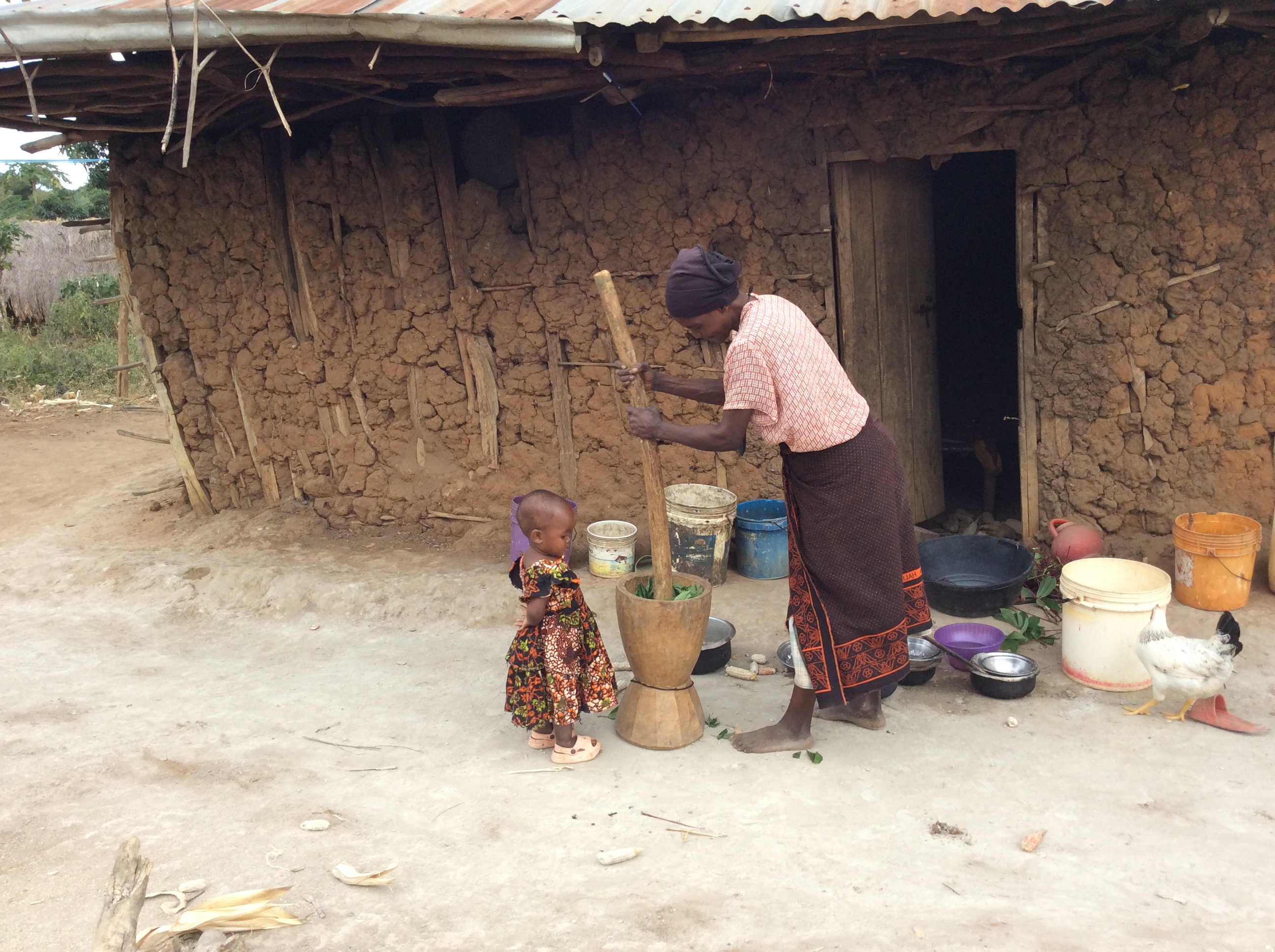 Cultural tour with local community
