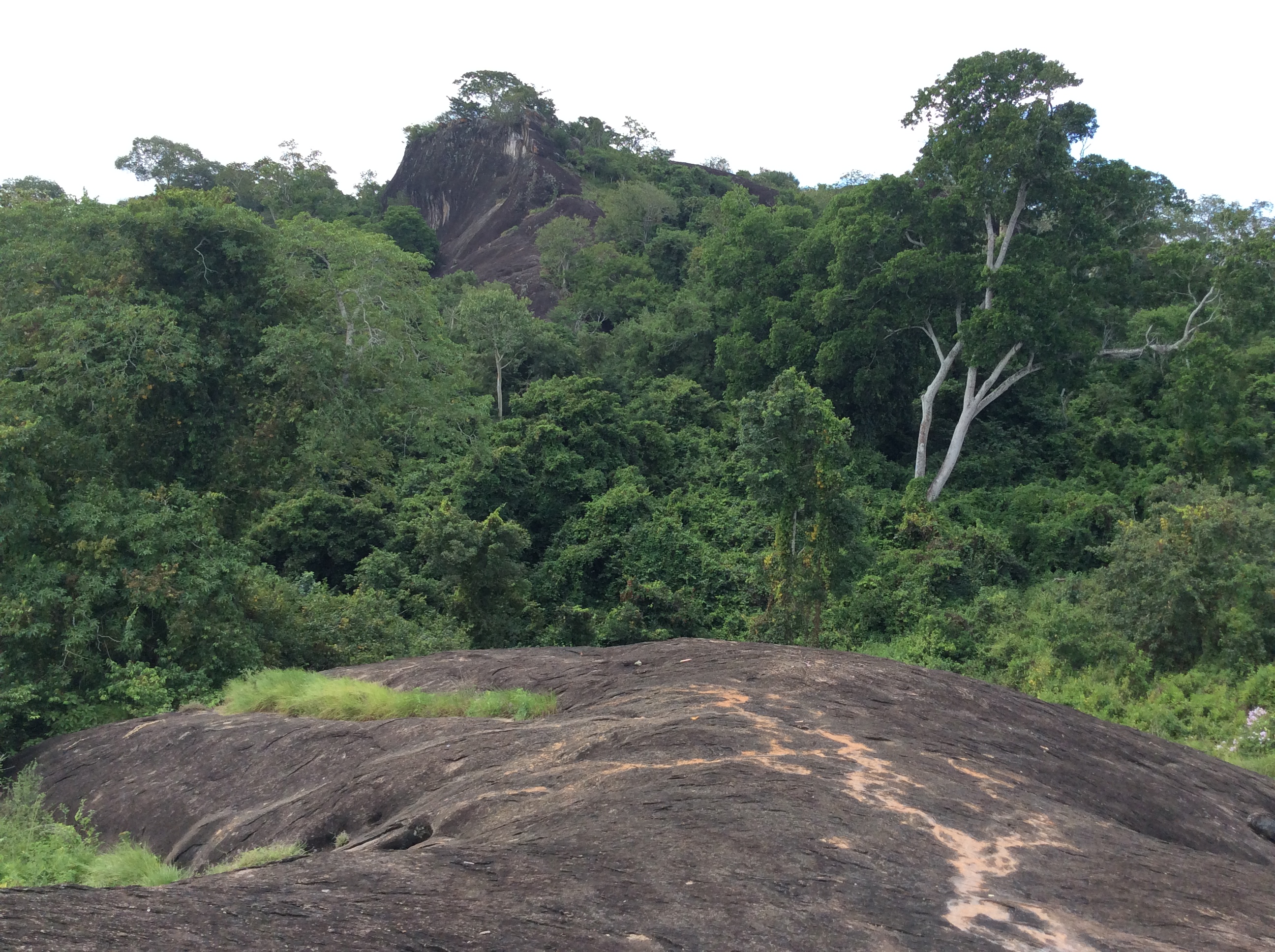 Forest hike at kwediguba Hills