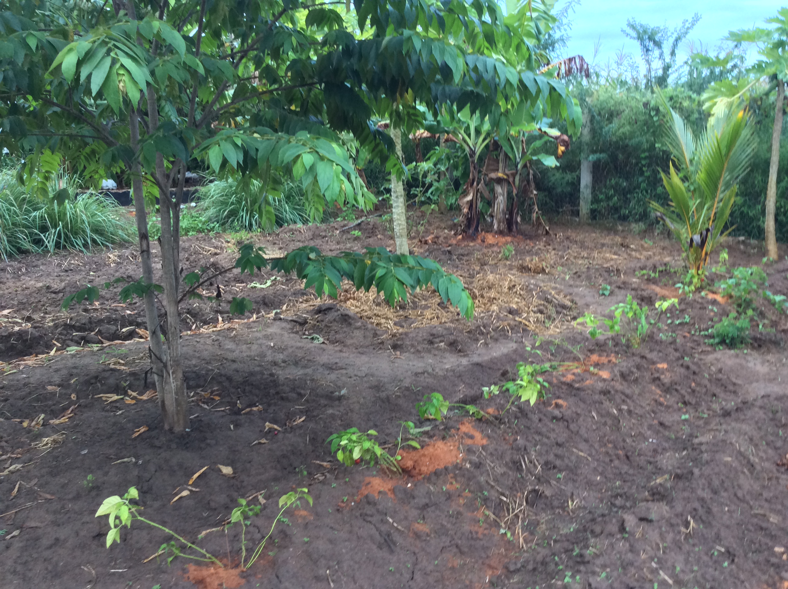 Farm Tour & Traditional Cooking Class